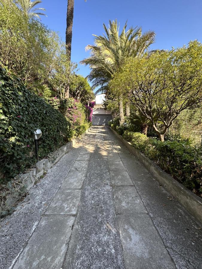 Le Rose Di Emma Villa Bordighera Eksteriør bilde